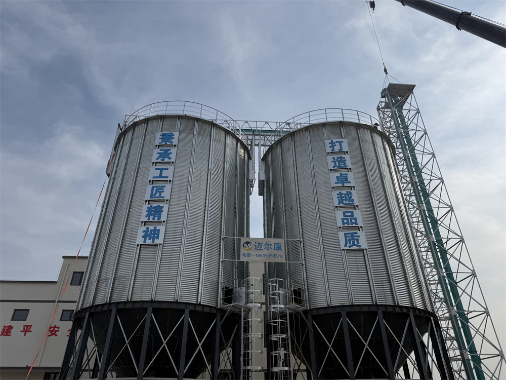案例展示